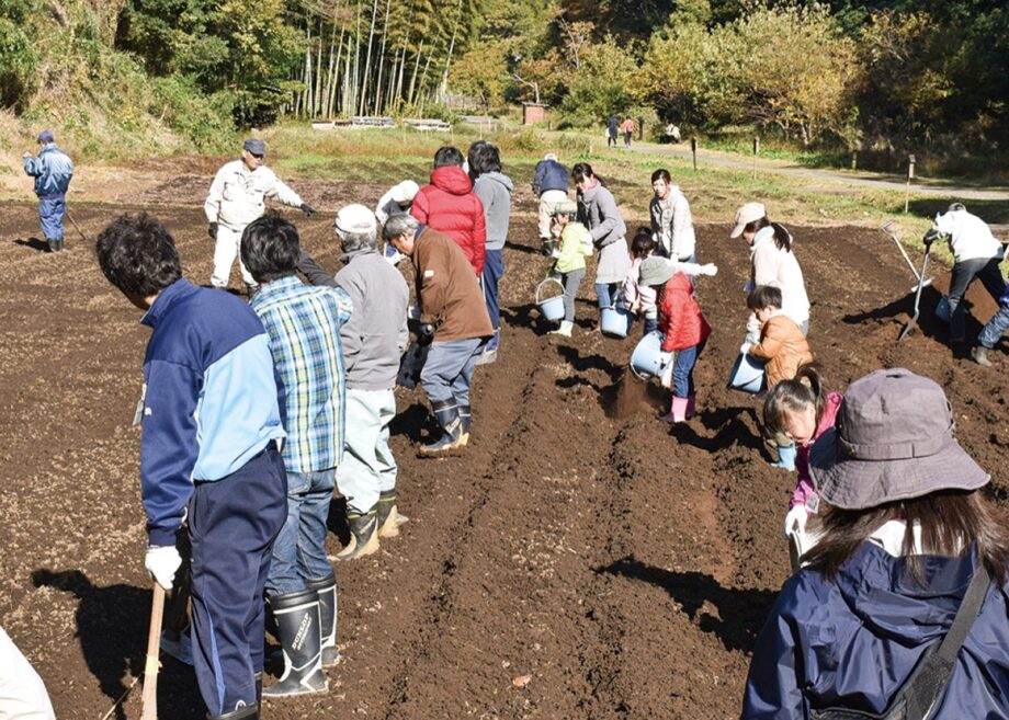 茅ヶ崎里山公園で親子で学ぶ小麦講座（全６回）～種まきから、うどん作りまで～うみかぜテラス主催