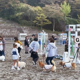 【 10月27日（日）】馬術場でマルシェを開催～撮影や乗馬体験など＠相模原市緑区：神奈川県津久井馬術競技場