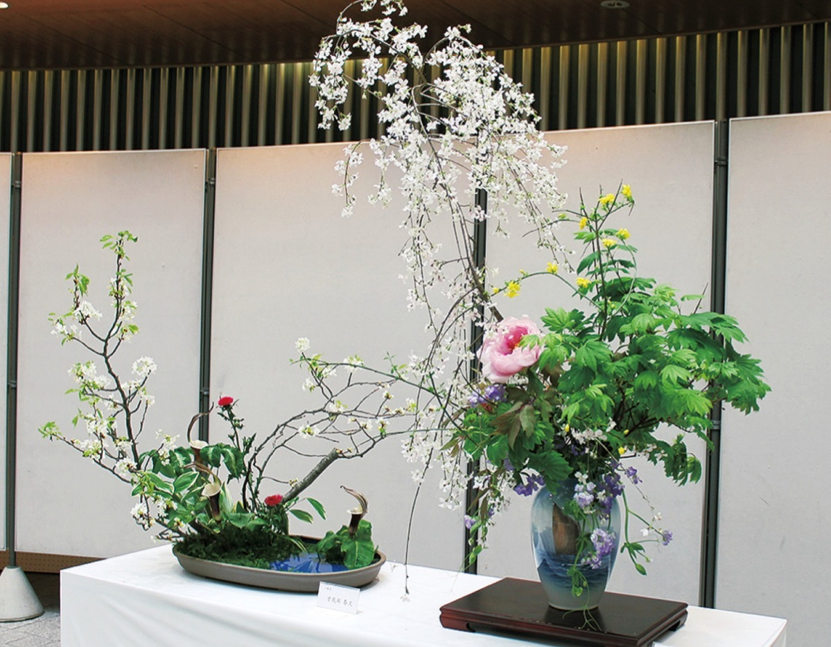 横浜市鶴見区内2か所で秋を彩る「茶華道展」 – 神奈川・東京多摩のご