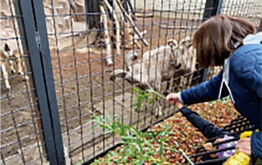 ＜川崎市幸区＞夢見ヶ崎動物公園「秋の動物園まつり」【11/４】バックヤードツアーや餌やり体験など