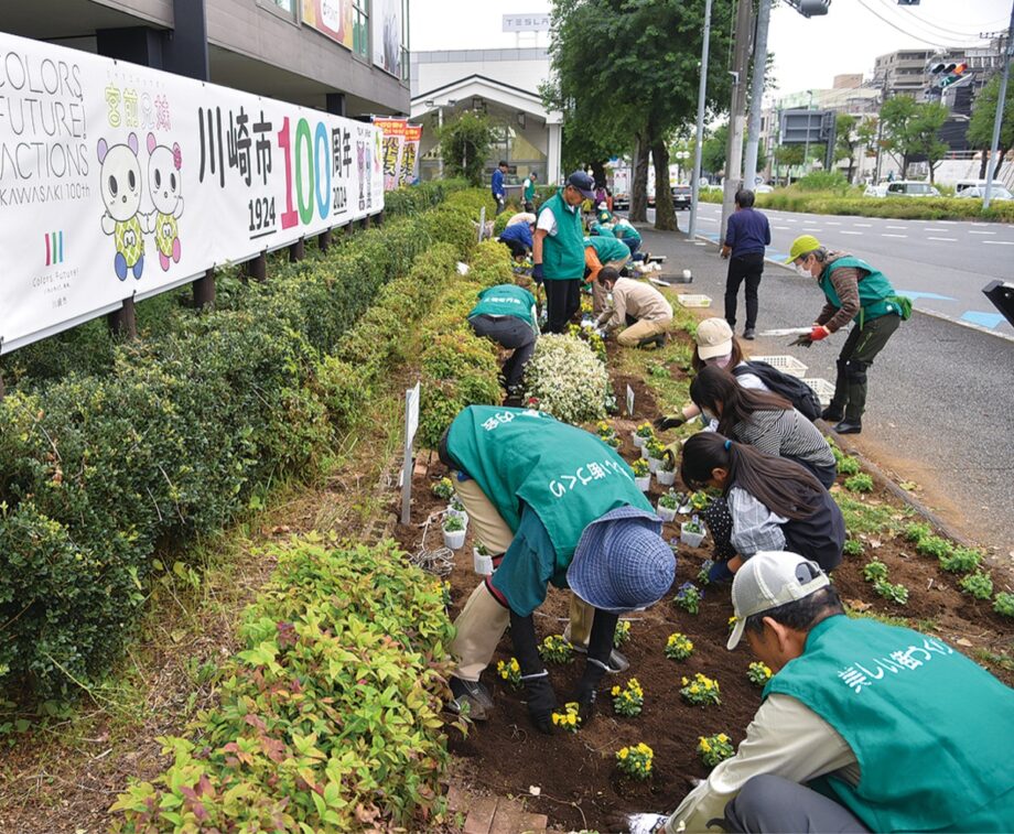 土橋園芸クラブ 花で100周年をアピール 川崎カラーで夜間点灯＜土橋町内会＞【2024年11月1日】