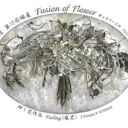 【11月26日～12月１日】新しい押し花を表現　個展「Ｆｕｓｉｏｎ ｏｆ Ｆｌｏｗｅｒ」（横浜市中区）