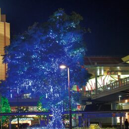 海老名駅東口にイルミネーション　青い大樹お目見え （2025年2月16日まで）