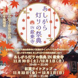 〈2024年11月30日・12月1日〉紅葉の大雄山最乗寺で「あしがら灯りの祭典」初開催！県西地区の灯りが大集合