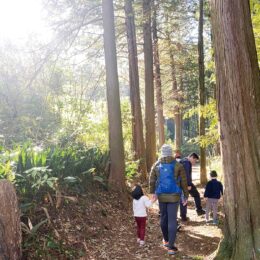 【申込先着順】12月14日 親子で自然を楽しむ「にいはる自然じかん」@横浜市緑区