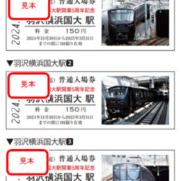 羽沢横浜国大駅　開業５周年で記念入場券を11月30日から販売