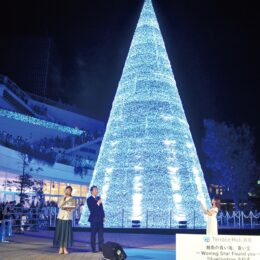 テラスモール湘南でイルミ「冬を彩る『湘南ブルー』約20ｍの大型ツリー登場」(藤沢市辻堂)