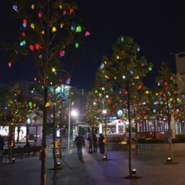 11月末まで点灯　約６００個の「光」の芸術が木に”実る”＠横浜市・港南公会堂前