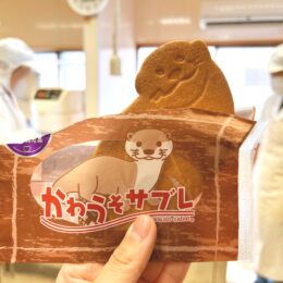 【藤沢：焼き菓子】”かわうその郷”発！ラブリーすぎる名産品「かわうそサブレ」をお試しあれ