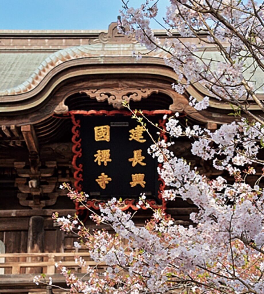 【鎌倉のとっておき】 かまくら花めぐり＜建長寺：早春から＞