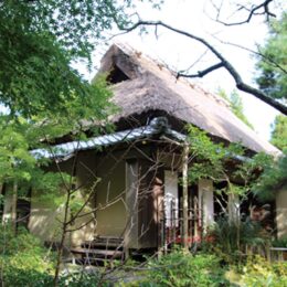 【鎌倉のとっておき】 古都の縁＜鎌倉と京都＞一条恵観ゆかりの場所