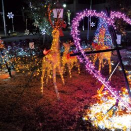 ＜夜彩る１万２千球＞『 善行駅前』でイルミネーション２月下旬まで（藤沢市）