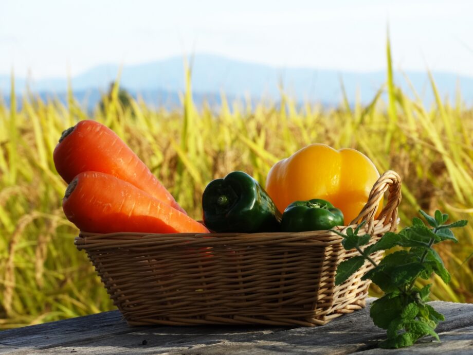 12月21日　 生産者の野菜直売会 （ＪＡさがみ綾瀬集出荷場）