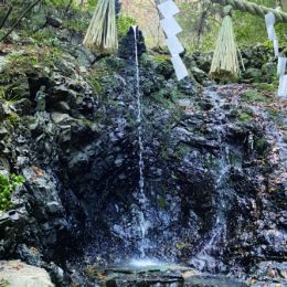 ヘビが姿を変えた滝？  高尾山・水行の場「蛇瀧」