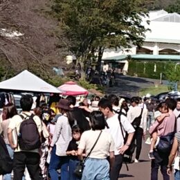 横浜こどもの国 12月21日出店者募集