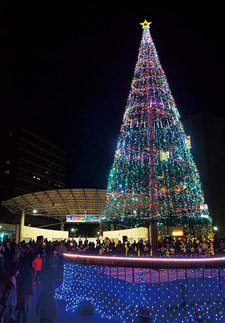 2025年1月13日まで　10ｍのツリーが点灯 （厚木市 はとぽっぽ公園)