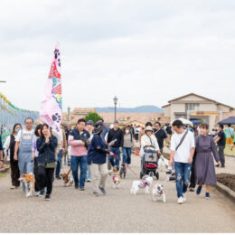 横須賀市のソレイユの丘で愛犬と園内を駆け回れ！！アトラクション同乗やレースも