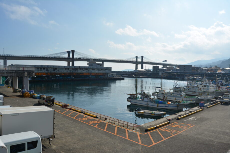 漁港を楽しむなら「小田原漁港」！魚市場周辺エリアで海鮮グルメやお買物など魅力いっぱい！セリツアーも人気！