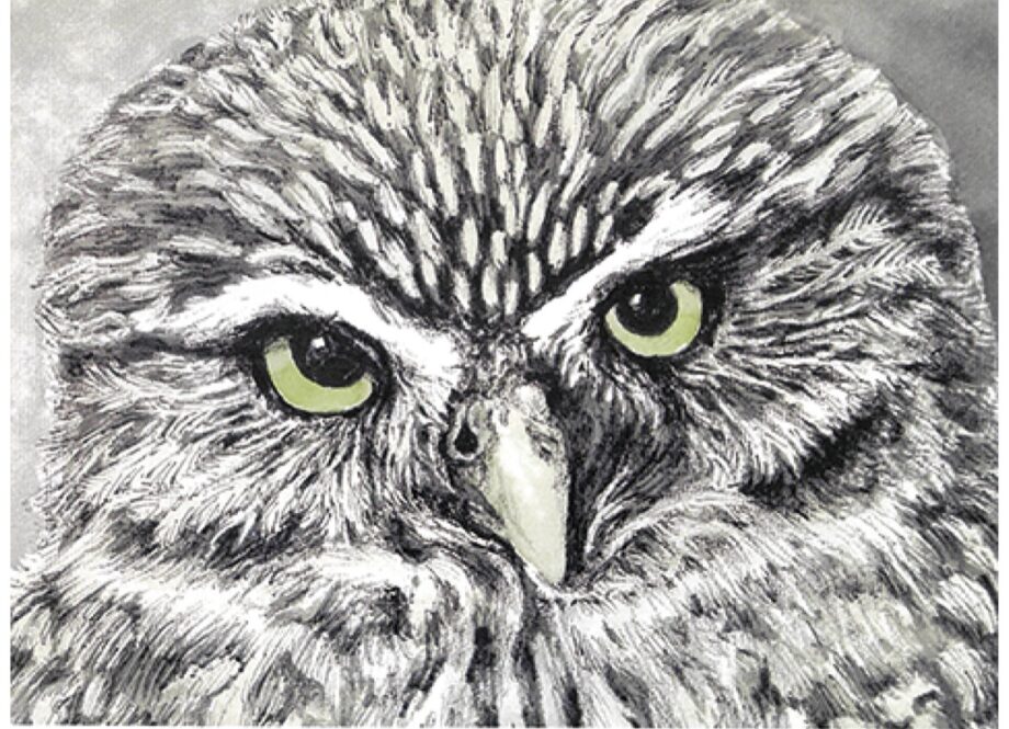 ペン画家・佐藤陽さんの個展～自然保護 絵で訴え～1/25まで（横須賀市根岸町）