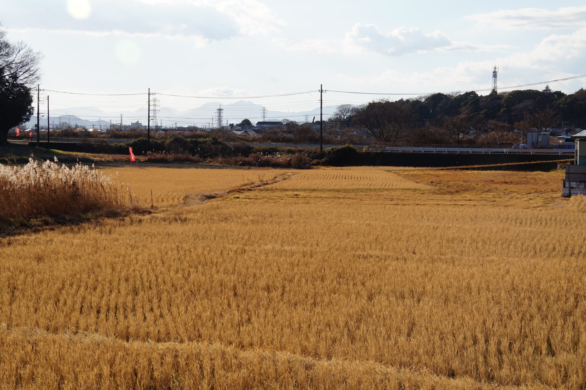 里山風景１