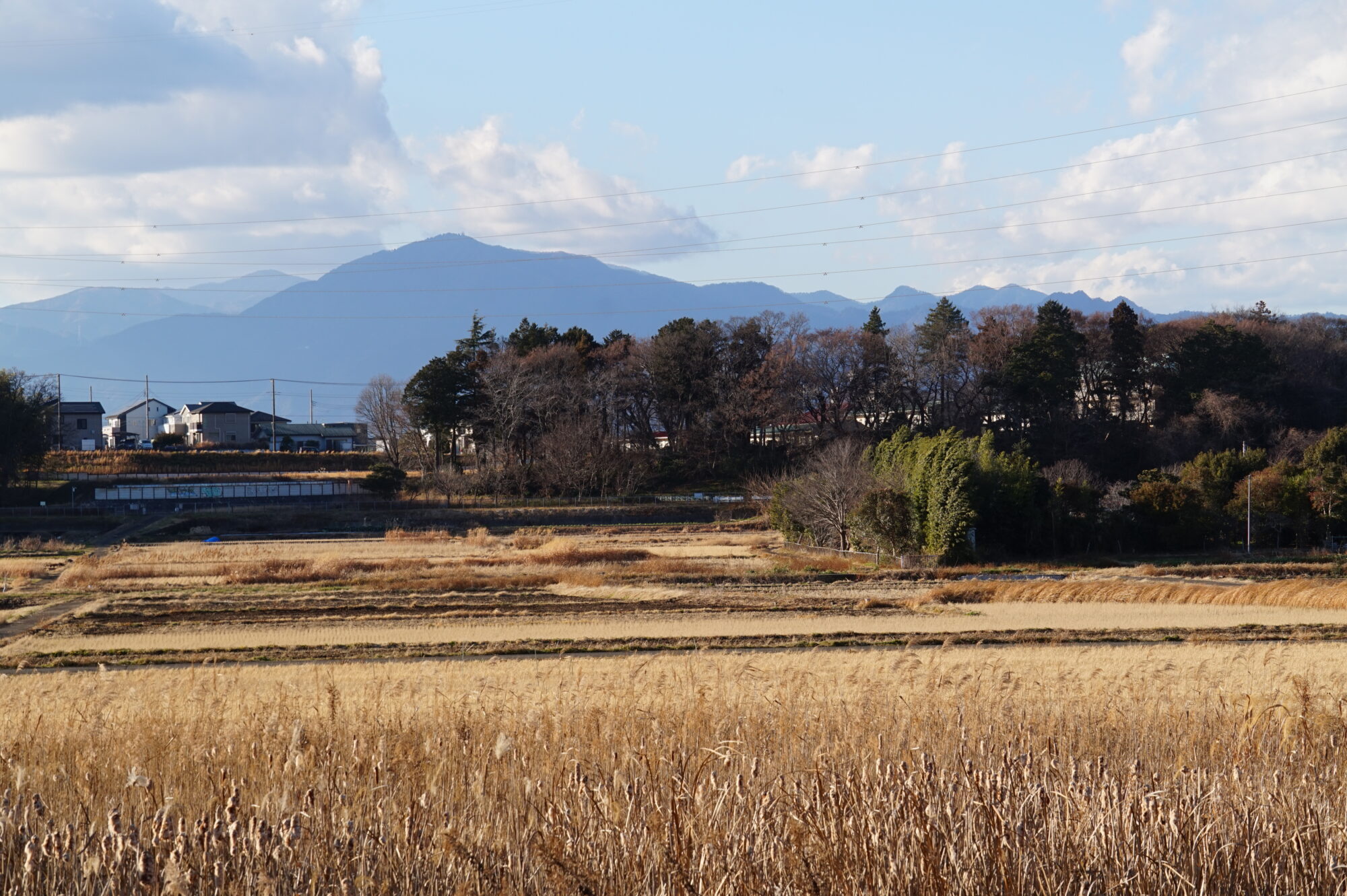 里山風景２