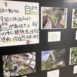 羽沢のいいとこ“撮り” 小学生の写真展【横浜市神奈川区】