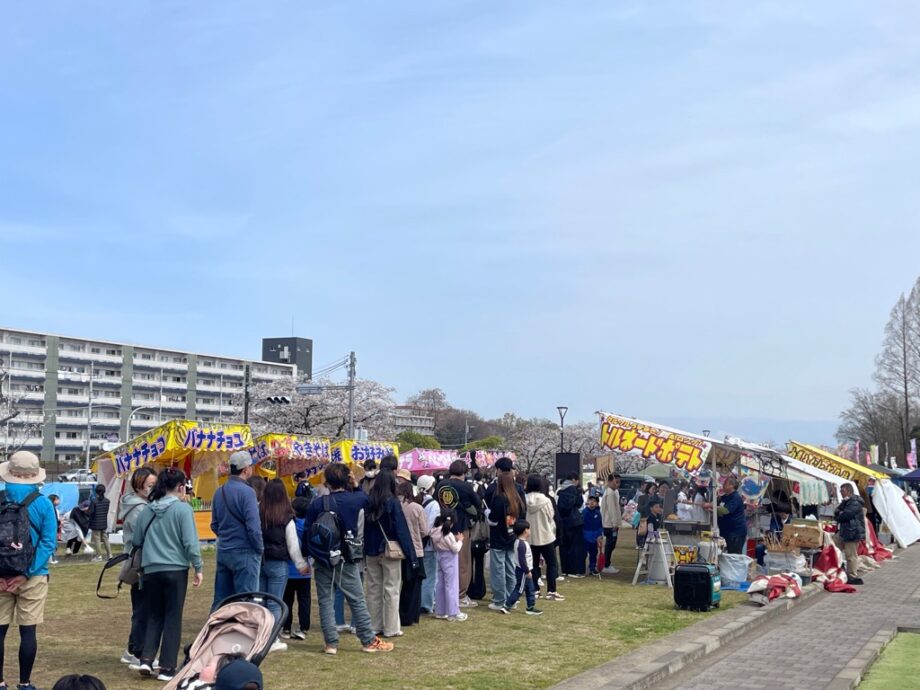 ＜はだの桜まつり2026＞夜桜ライトアップと地元グルメの出店で春を満喫