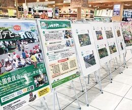 ＜イオンスタイル天王町＞球根ミックス花壇を写真で紹介【2025年２月25日まで】