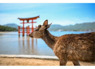 【横浜赤レンガ倉庫】外交官撮影の写真一堂に ２月５日から