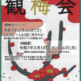 ＜川崎市幸区＞御幸公園で2025年も恒例の「観梅会」幸高校の生徒考案の特別企画も