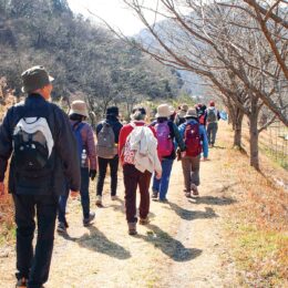 【３月８日】参加者募集「観光ボランティアと歩く矢倉沢往還ハイキング」秦野市観光協会