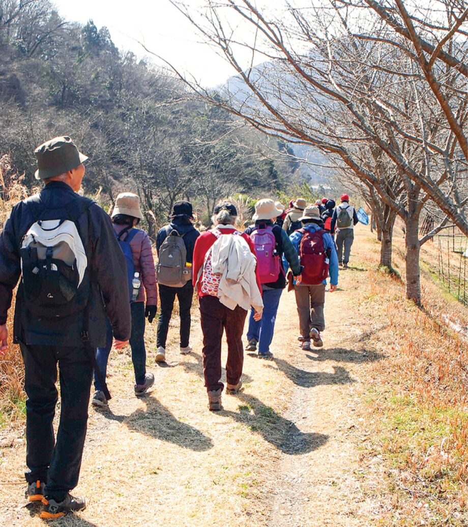 【３月８日】参加者募集「観光ボランティアと歩く矢倉沢往還ハイキング」秦野市観光協会