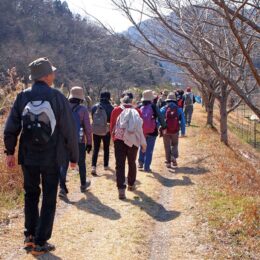 参加者募集「2025秦野市観光ボランティアガイド養成講座」全8回