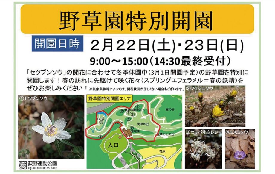 2月22日、23日　厚木市荻野運動公園で　野草園の特別開園