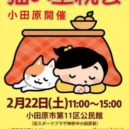 【事前予約優先】小田原開催「猫の里親会」〈２月２２日(土)＠第１１区公民館〉