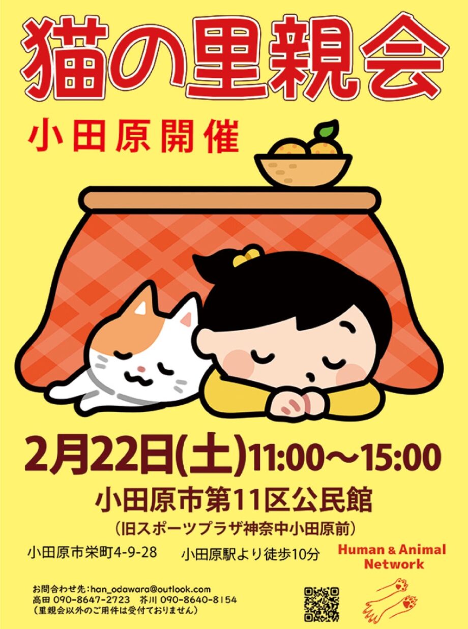 【事前予約優先】小田原開催「猫の里親会」〈２月２２日(土)＠第１１区公民館〉