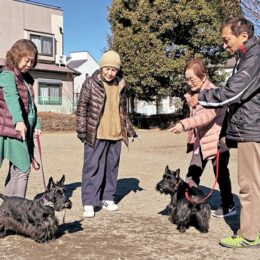 【参加無料】イヌとの生活を考えるー緑区合同庁舎（相模原市緑区西橋本）で講演会開催