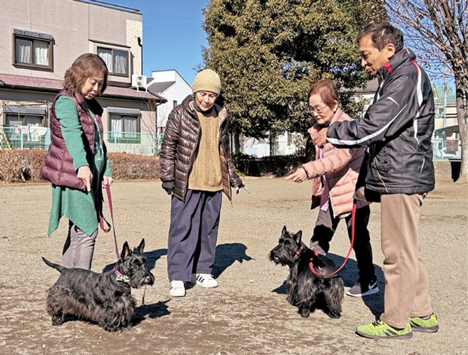 【参加無料】イヌとの生活を考えるー緑区合同庁舎（相模原市緑区西橋本）で講演会開催