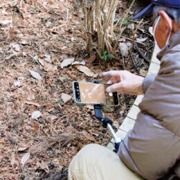 厚木市・荻野運動公園で、野草園が開園！足元に春芽吹く（2025年３月１日に開園）