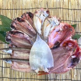 【小田原：干物】ネット、電話注文OK！小田原漁港の老舗鮮魚店「魚國」の厳選干物　店舗では朝獲れ地魚に“名物アジフライ”も