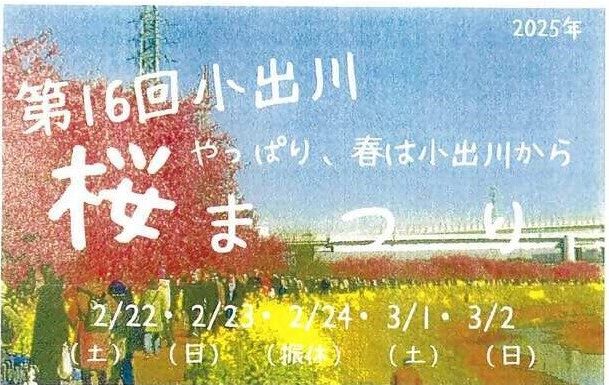 【2月22日スタート】茅ヶ崎で河津桜が楽しめる小出川桜まつりが2025年も開催