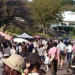 横浜こどもの国 フリーマーケット出店募集