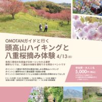 ＯＭＯＴＡＮガイドと行く 頭高山ハイキングと八重桜摘み体験