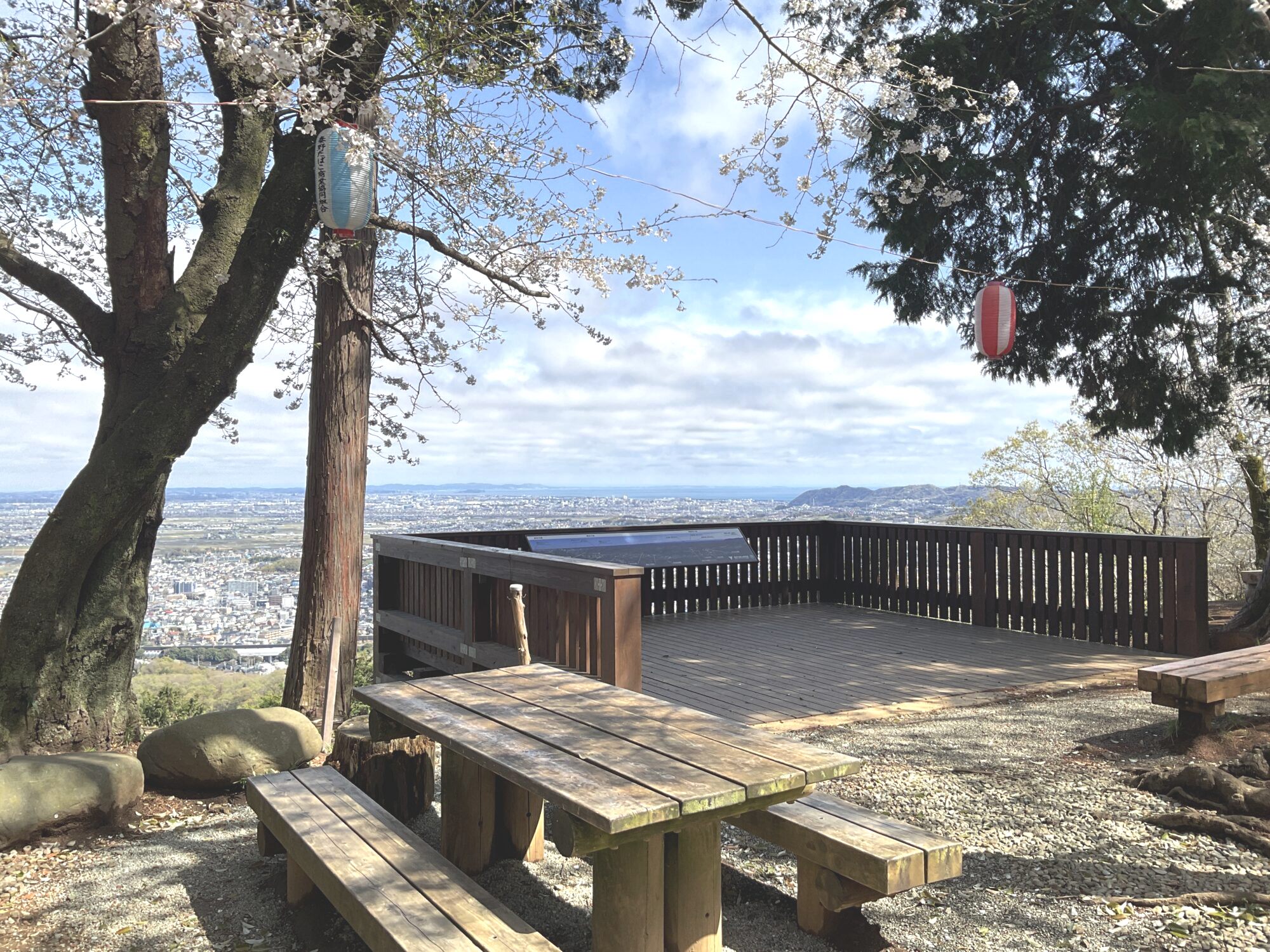 体験レポ】桜満開の弘法山登山！展望デッキや富士山ベンチ、バード