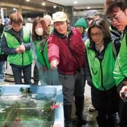 〈小田原漁港水産市場〉小田原の魚の魅力を堪能「セリ市見学と漁港の朝メシツアー」が好評！