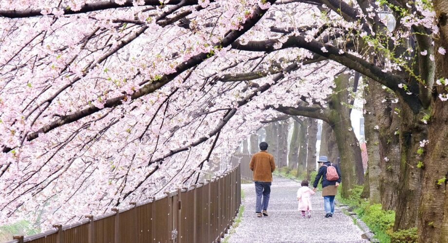 第15回「三沢川 桜・梨の花まつり」が３月22日（土）、23日（日）に開催【稲城市】