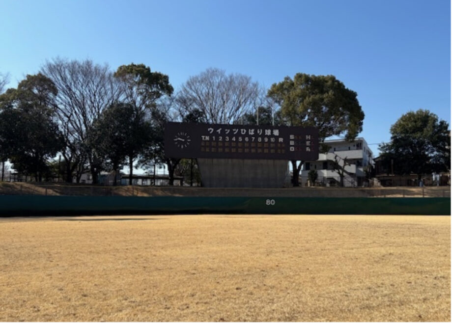 さがみはら中央区・淵野辺公園のひばり球場無料開放