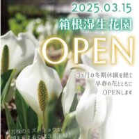 【箱根湿生花園】冬期休園開けて３月１５日ＯＰＥＮ！今期からデジタルガイドを導入