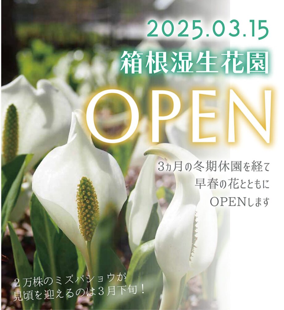 【箱根湿生花園】冬期休園開けて３月１５日ＯＰＥＮ！今期からデジタルガイドを導入