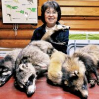 ３月22日～30日「いろいろな動物標本展」秦野市自然観察施設くずはの家